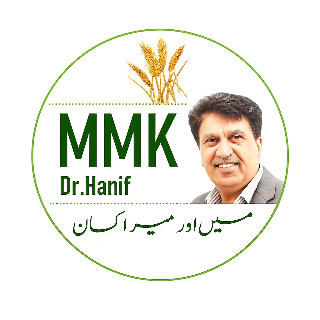 MMK logo